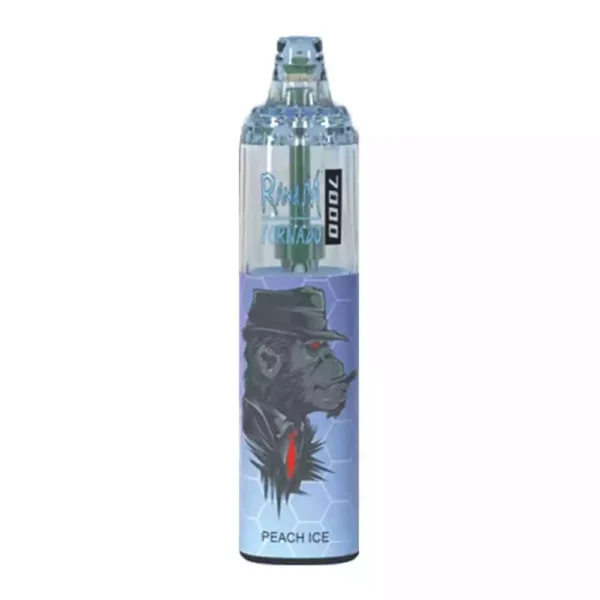 Stylo vape RandM Tornado 7000 bouffées 11