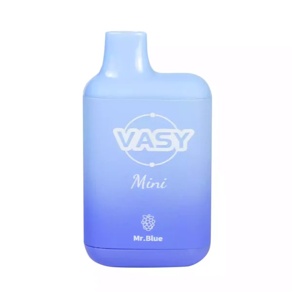 VASY MINI Vape Pen 600 Puffs 10