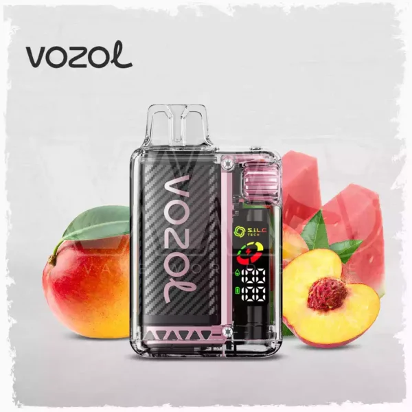 Premium Vozol Vista 20000 Puffs Dual Mesh Coil Display Digital Baixo Nicotina Atacado (10)