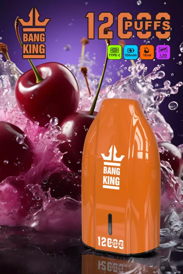 Χονδρική Bang King 12000 Puffs Vape μίας χρήσης Απολαύστε εξαιρετικό άτμισμα με χωρητικότητα 12 ml και επαναφορτιζόμενη μπαταρία (10)