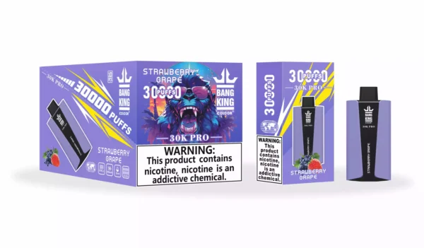 Wholesale Bang King 30000 Pro Disposable Vape Experience 30,000 Puffs of Uninterrupted Flavor (10)