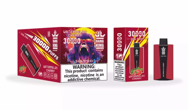 Wholesale Bang King 30000 Pro Disposable Vape Experience 30,000 Puffs of Uninterrupted Flavor (11)