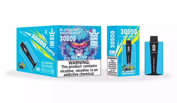 Wholesale Bang King 30000 Pro Disposable Vape Experience 30,000 Puffs of Uninterrupted Flavor (2)