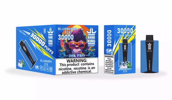 Wholesale Bang King 30000 Pro Disposable Vape Experience 30,000 Puffs of Uninterrupted Flavor (6)