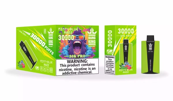 Wholesale Bang King 30000 Pro Disposable Vape Experience 30,000 Puffs of Uninterrupted Flavor (7)