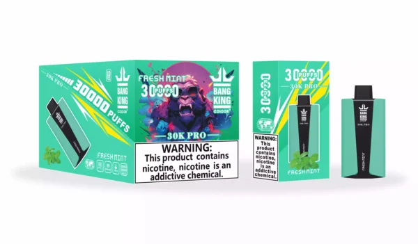 Wholesale Bang King 30000 Pro Disposable Vape Experience 30,000 Puffs of Uninterrupted Flavor (8)